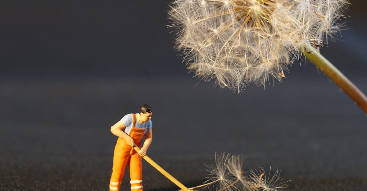 What's the difference between janitor and janitorial?